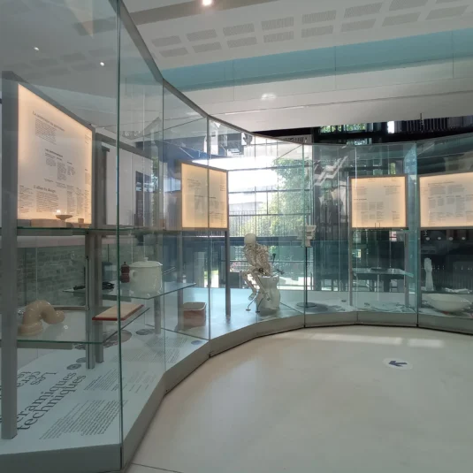 Visite guidée sur la céramique au Musée National Adrien Dubouché à Limoges